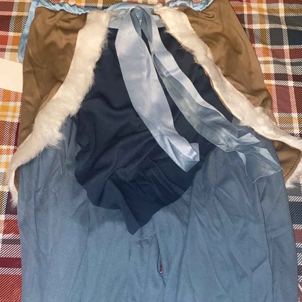 The Legend of Korra Kids Rubies Halloween Costume - Blue and Brown Anime Con